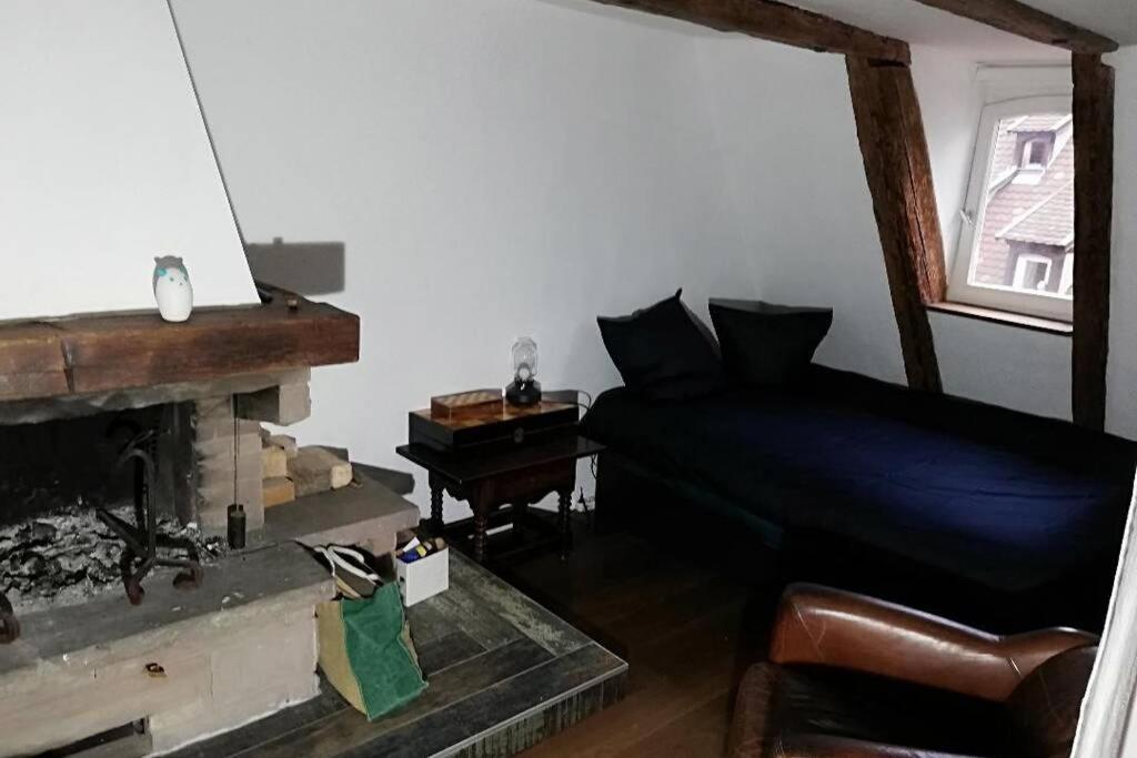 La Chaumiere Apartamento Estrasburgo Exterior foto