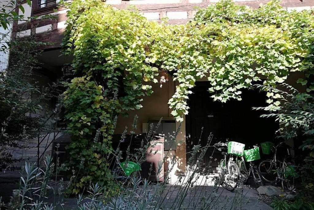 La Chaumiere Apartamento Estrasburgo Exterior foto